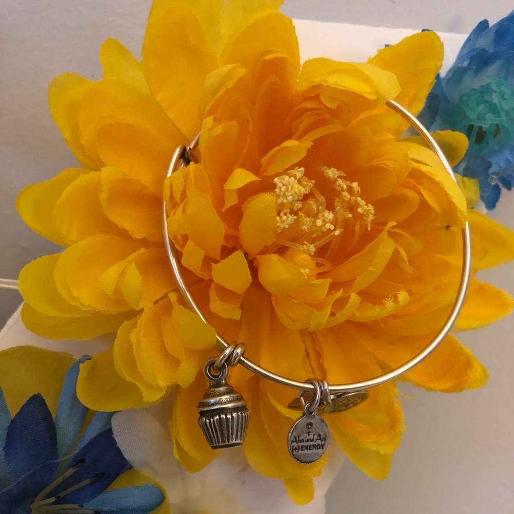 Cupcake Alex and Ani!